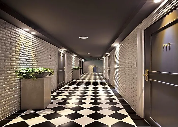 The Hound Hotel