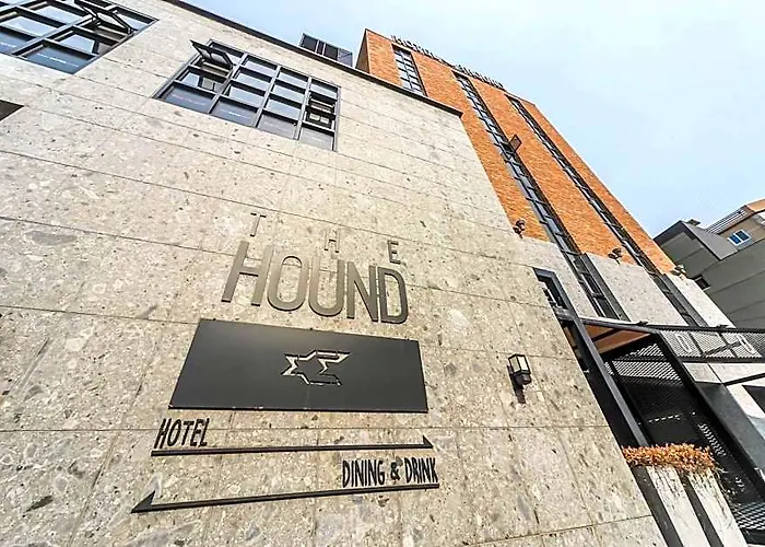 The Hound Busan